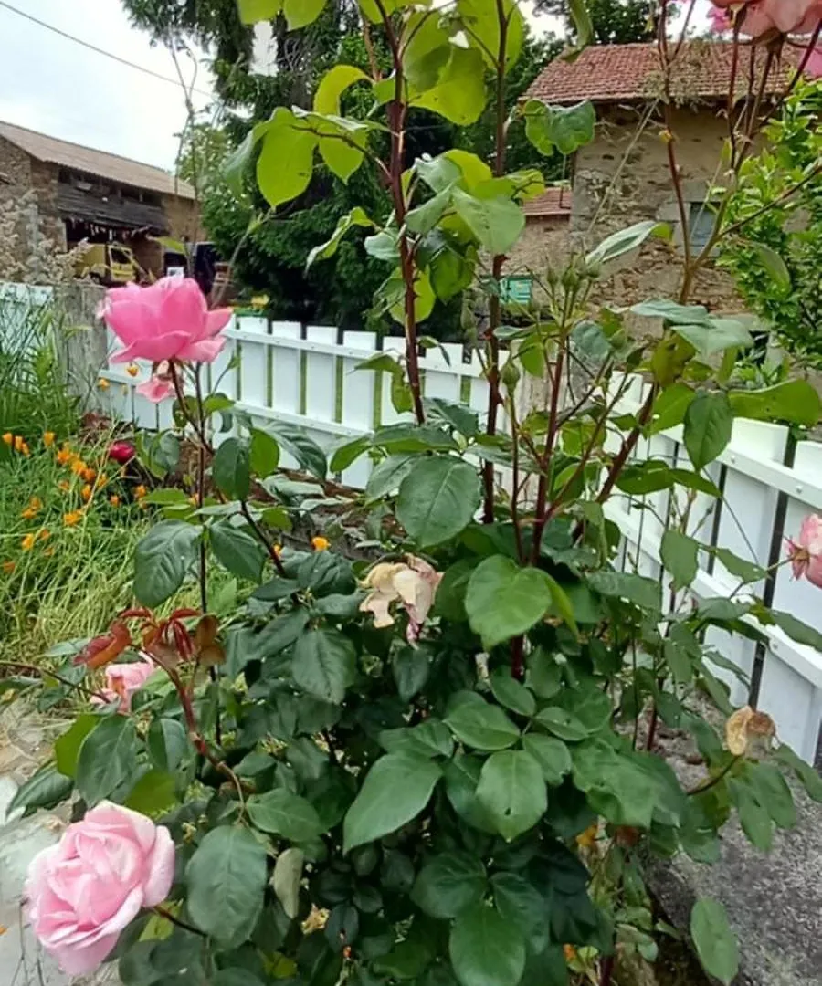 Holiday home Gite Lamalpapoche Quezac