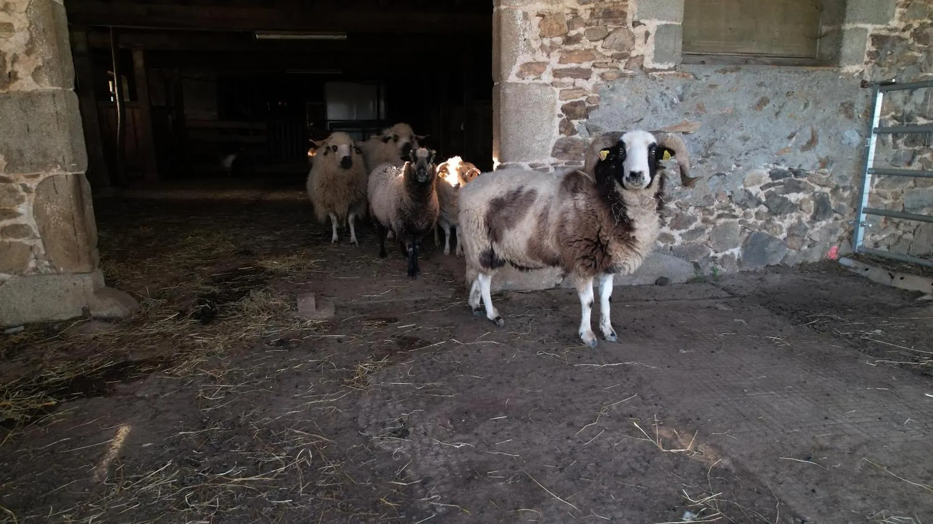Gite Lamalpapoche Quezac  France